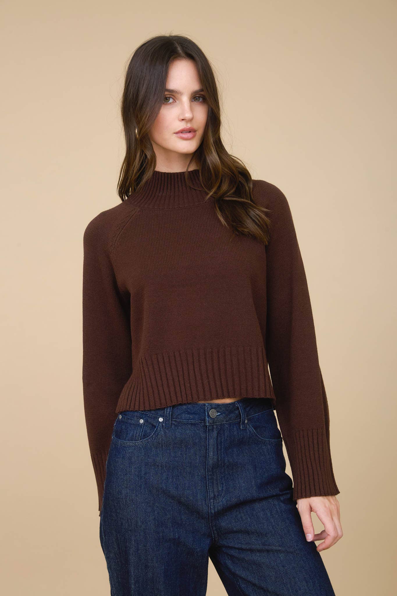 Cocoa Chic Mock Neck Sweater