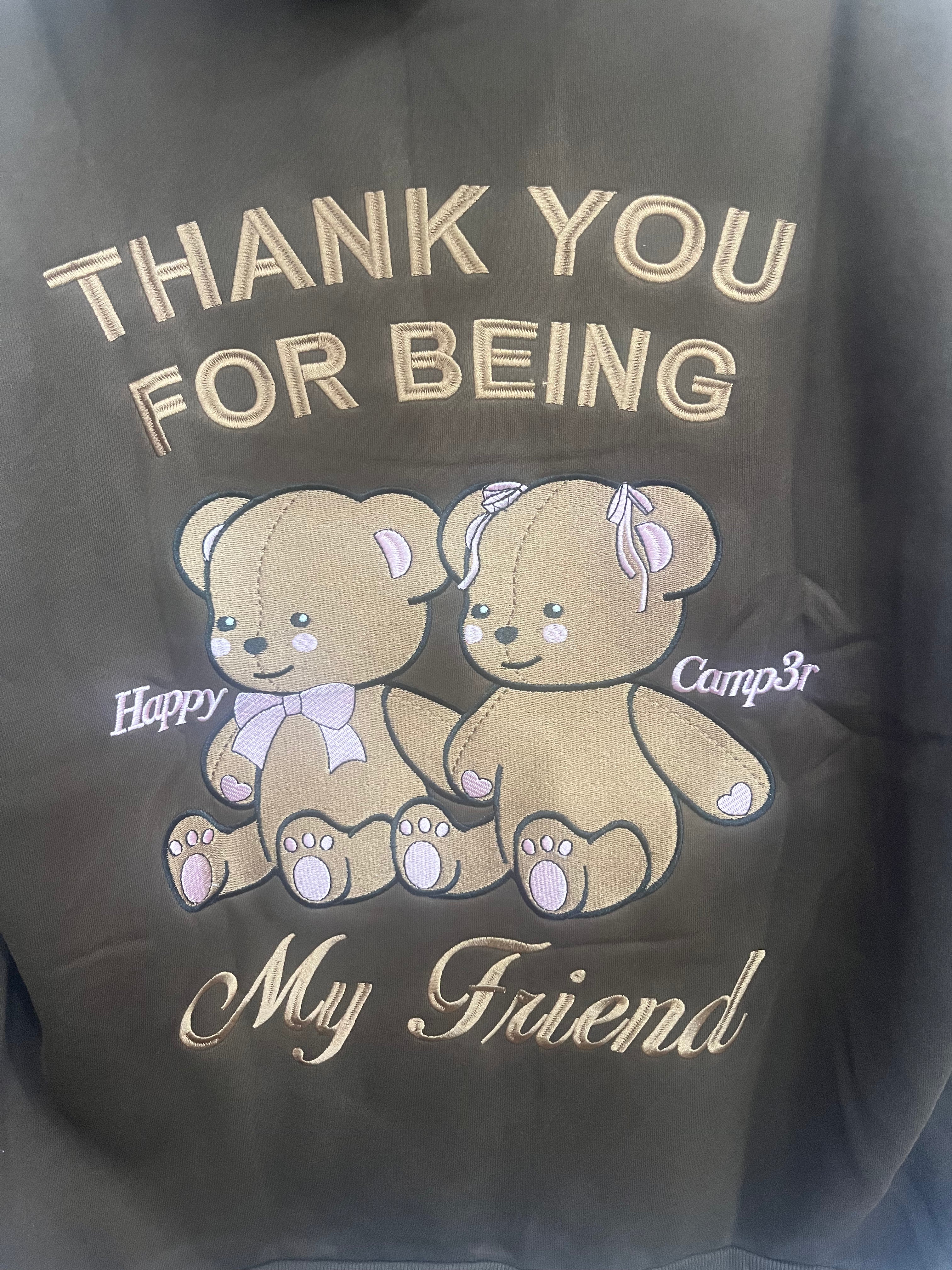 Teddy Friendship Hoodie