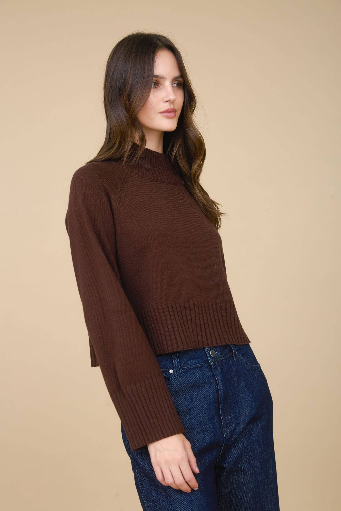 Cocoa Chic Mock Neck Sweater